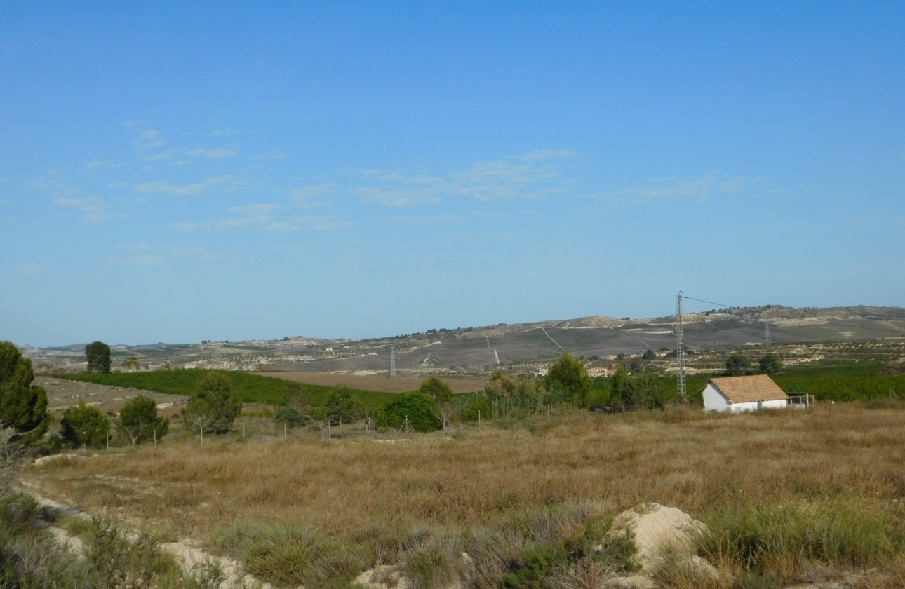 Wiederverkauf - Grundstück / Land -
Torremendo
