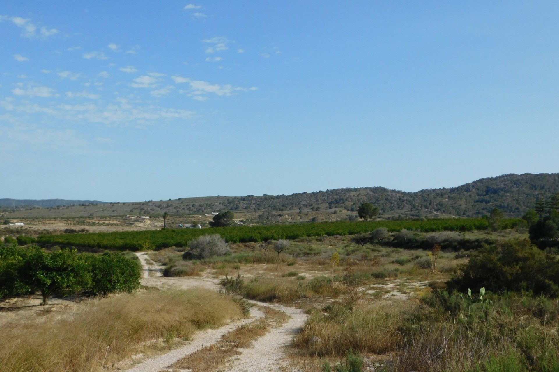 Wiederverkauf - Grundstück / Land -
Torremendo