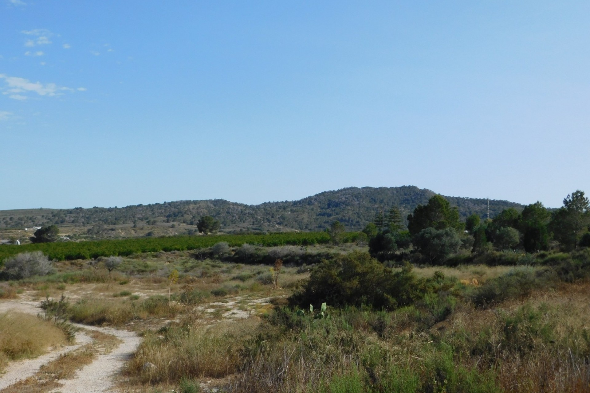 Wiederverkauf - Grundstück / Land -
Torremendo