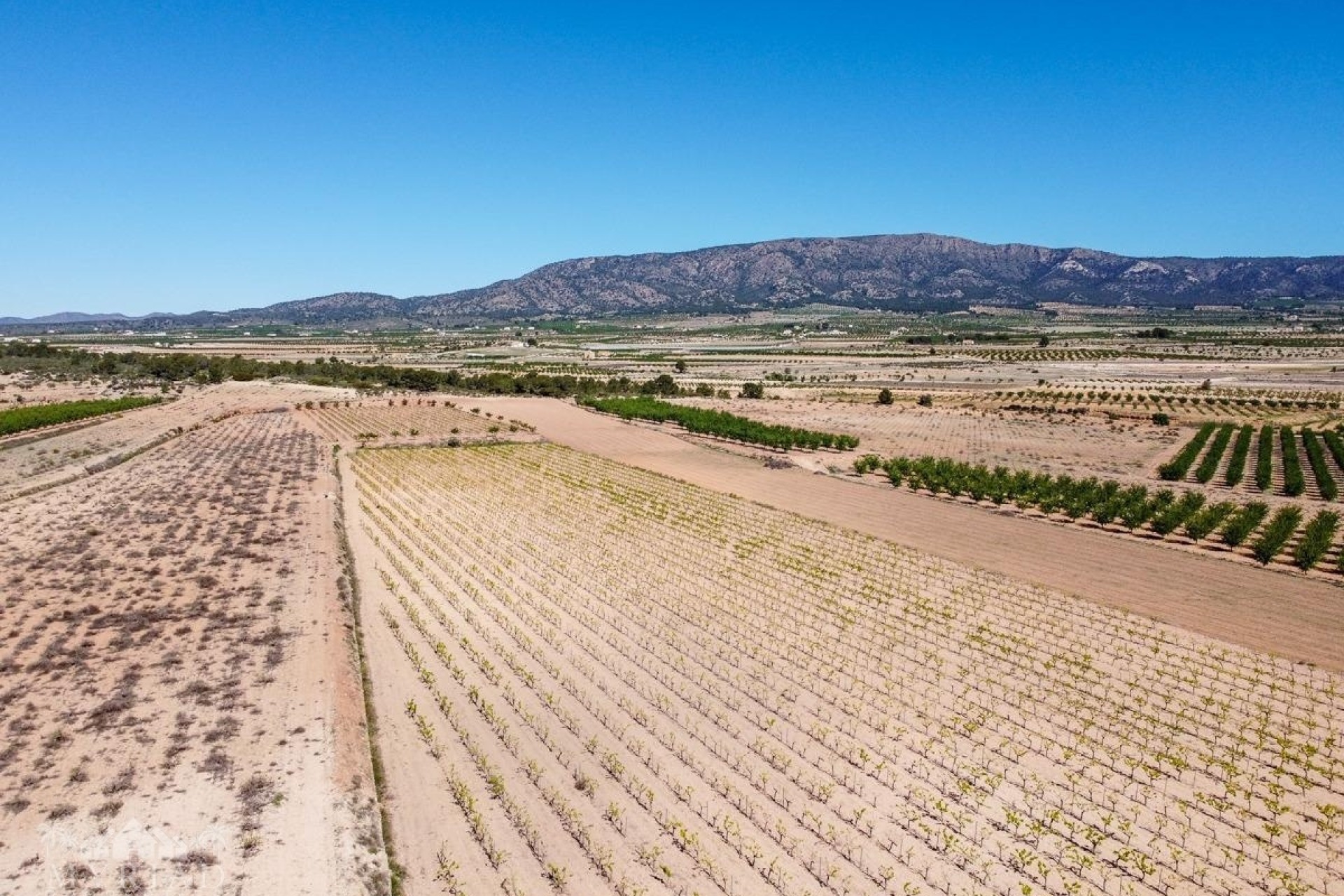 Wiederverkauf - Grundstück / Land -
&Uacute;beda - &Uacute;beda Alicante