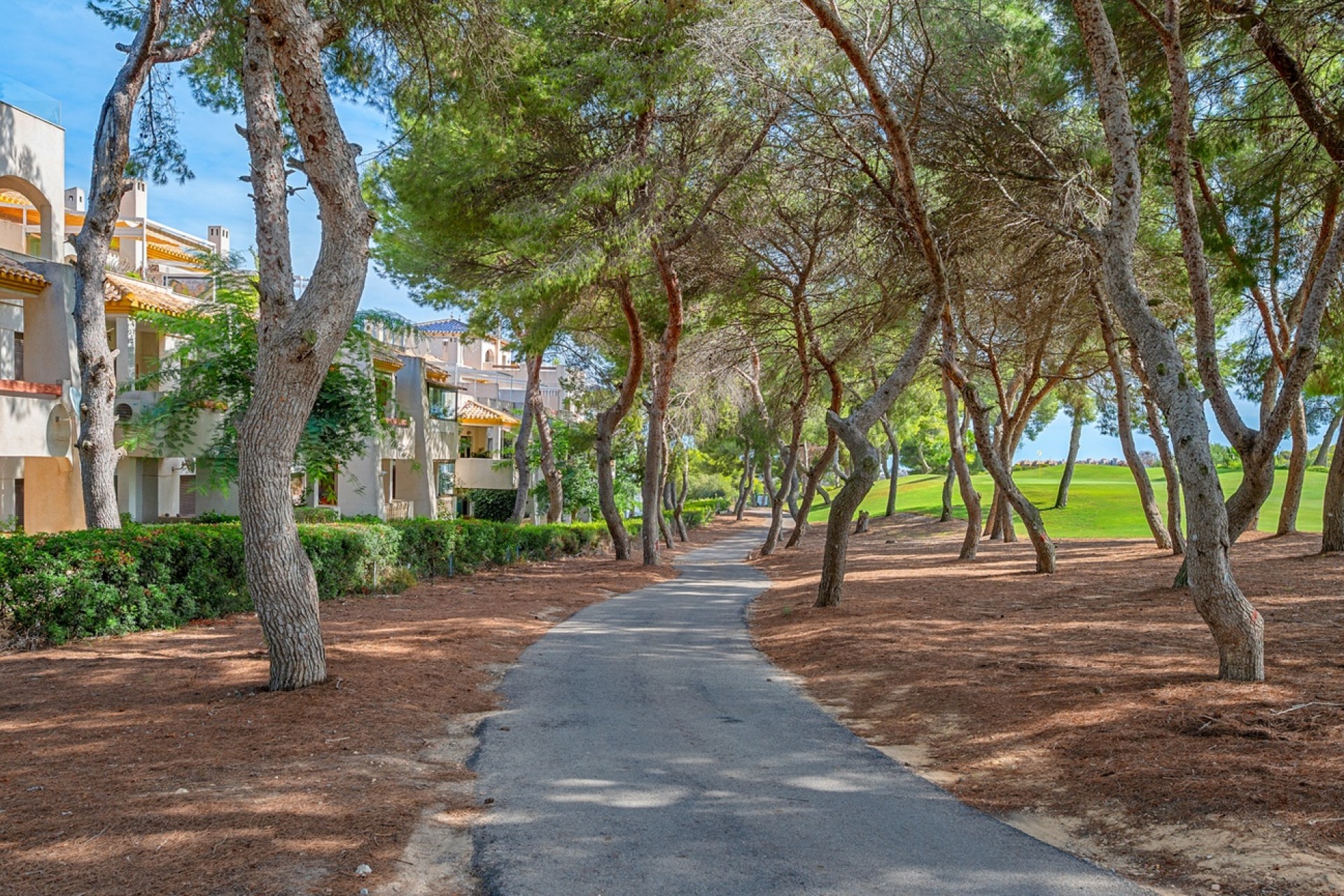 Wiederverkauf - Wohnung / Apartment -
Dehesa de Campoamor - Campoamor