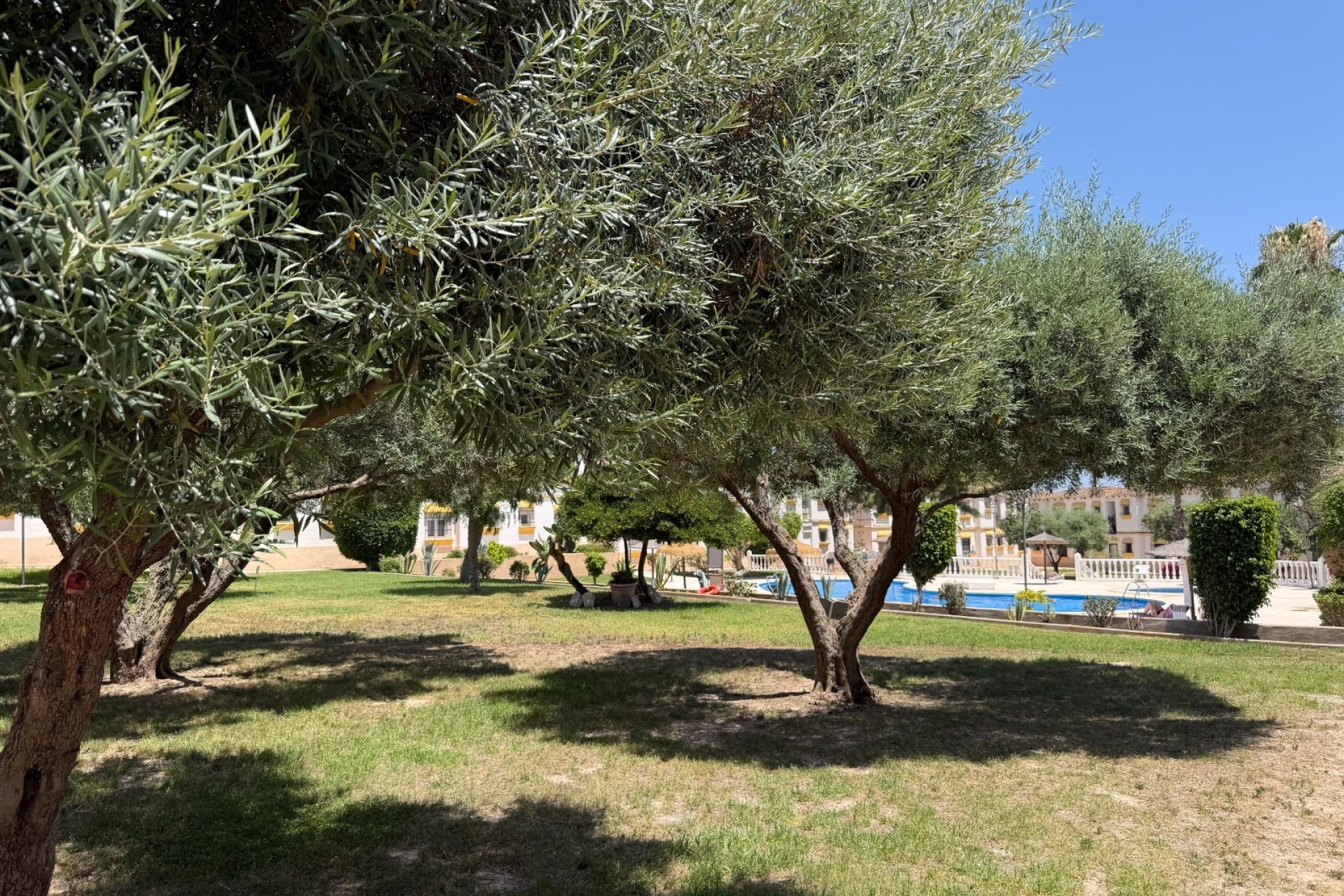 Wiederverkauf - Wohnung / Apartment -
Orihuela Costa - Blue Lagoon
