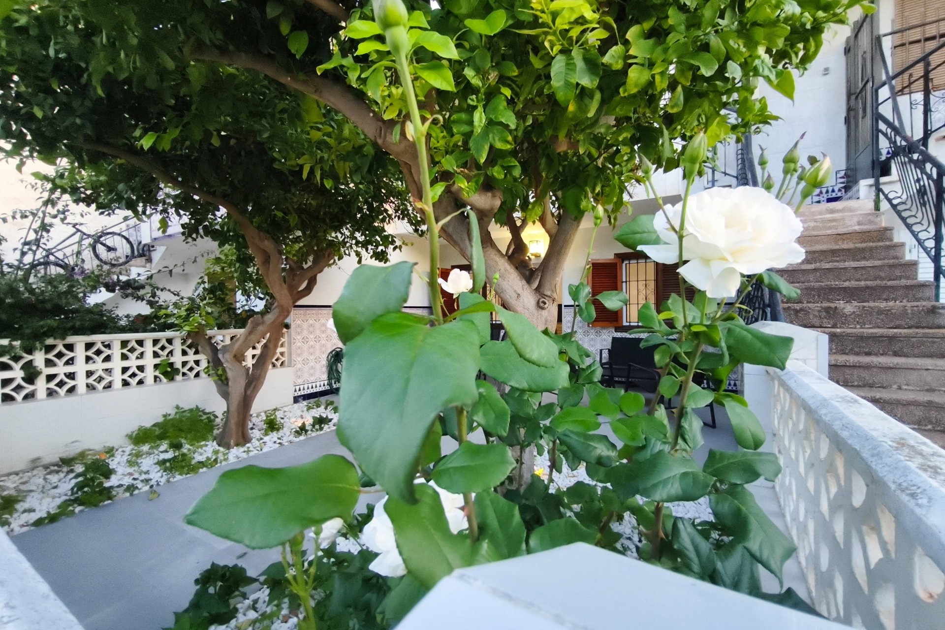 Wiederverkauf - Wohnung / Apartment -
San Pedro del Pinatar - Lo Pagán