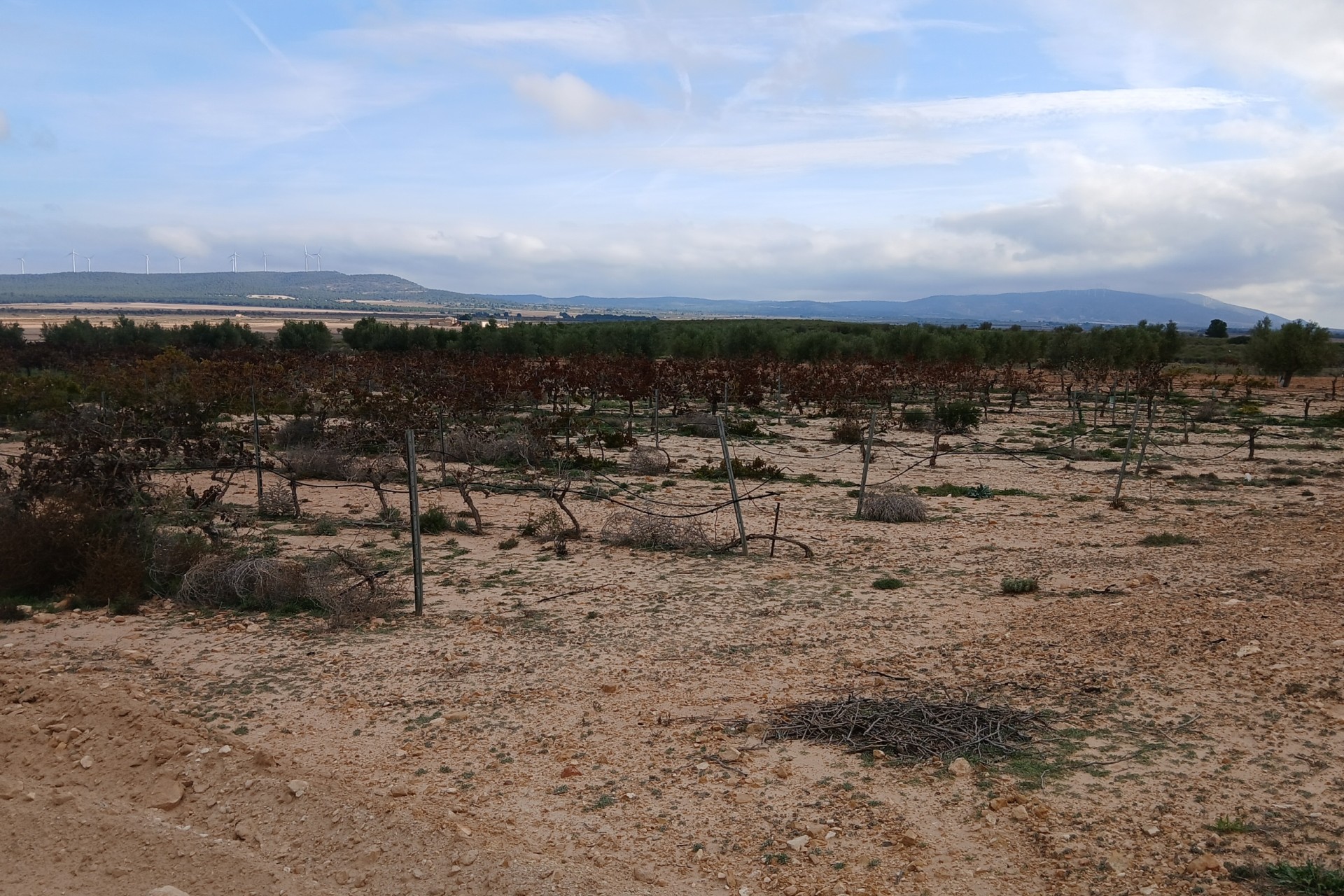 Wiederverkauf -  -
Yecla