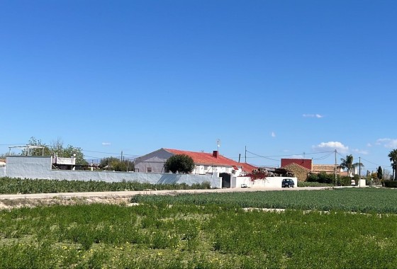 Willa wolnostojąca - Sprzedaż - Dolores - Comunidad Valenciana