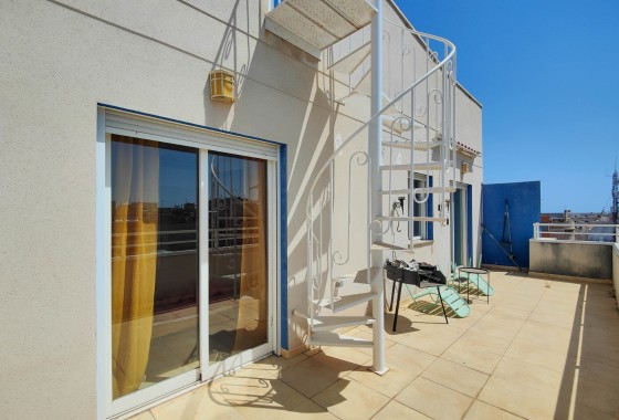 Wohnung / Apartment - Langzeitmiete - Torrevieja -
                Torrevieja
