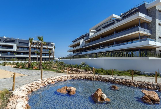 Wohnung / Apartment - New Build - ﻿Torrevieja (Alicante) -
                Spain