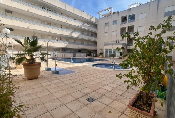 Wohnung / Apartment - Resale - Almoradí - Almoradí