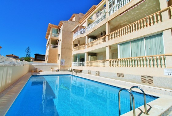 Wohnung / Apartment - Resale - Playa Flamenca - Playa Flamenca