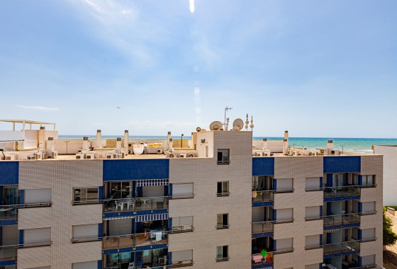 Wohnung / Apartment - Resale - Torrevieja - Beach