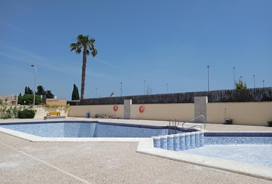 Wohnung / Apartment - Resale - Torrevieja - Carrefour