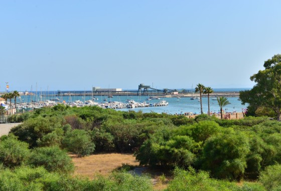 Wohnung / Apartment - Resale - Torrevieja - Torrevieja