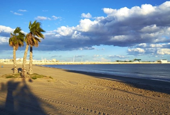 Wohnung / Apartment - Resale - Torrevieja - Torrevieja