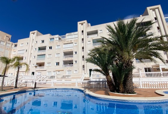 Wohnung / Apartment - Wiederverkauf - Guardamar del Segura - El Eden