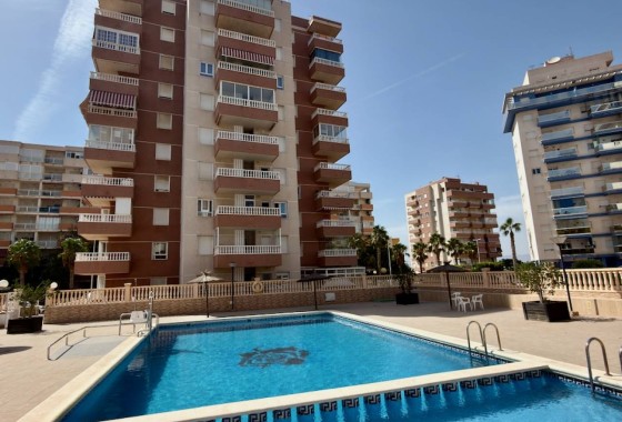 Wohnung / Apartment - Wiederverkauf - Guardamar del Segura - Guardamar del Segura