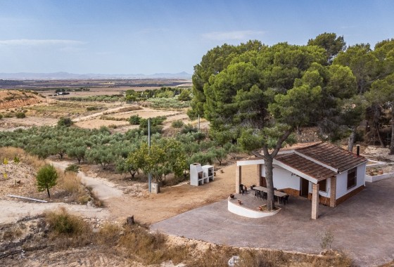 Wohnung / Apartment - Wiederverkauf - La Tercia Golf Resort - La Tercia
