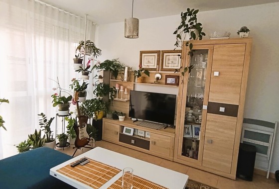 Wohnung / Apartment - Wiederverkauf - La Union - La Union