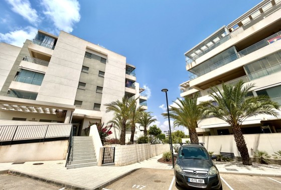 Wohnung / Apartment - Wiederverkauf - Los Dolses -
                Los Dolses