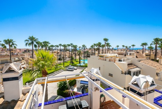 Wohnung / Apartment - Wiederverkauf - Playa Flamenca -
                Playa Flamenca