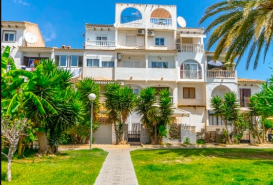 Wohnung / Apartment - Wiederverkauf - Torrevieja - Calas blanca