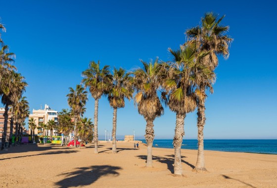 Wohnung / Apartment - Wiederverkauf - Torrevieja -
                La Mata