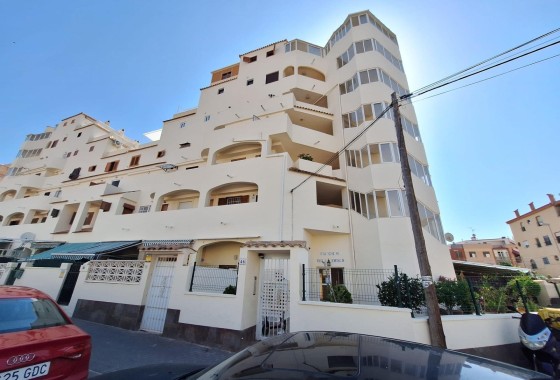 Wohnung / Apartment - Wiederverkauf - Torrevieja - Nueva Torrevieja