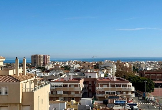 Wohnung / Apartment - Wiederverkauf - Torrevieja -
                Nueva Torrevieja