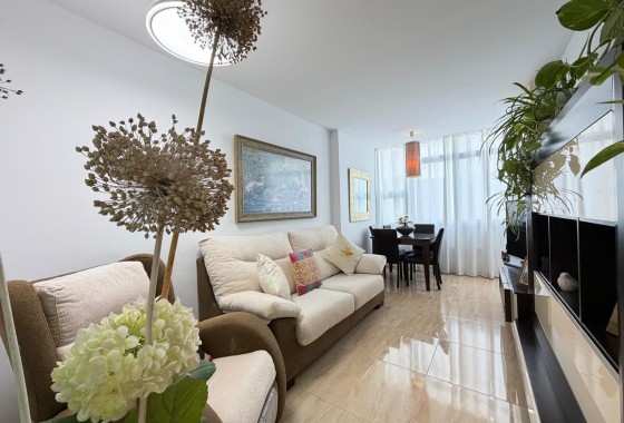 Wohnung / Apartment - Wiederverkauf - Torrevieja - Paseo Maritimo