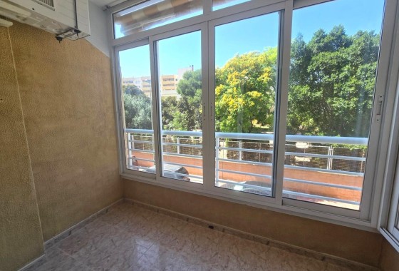 Wohnung / Apartment - Wiederverkauf - Torrevieja -
                Torrevieja