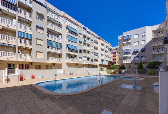 Wohnung / Apartment - Wiederverkauf - Torrevieja - Torrevieja