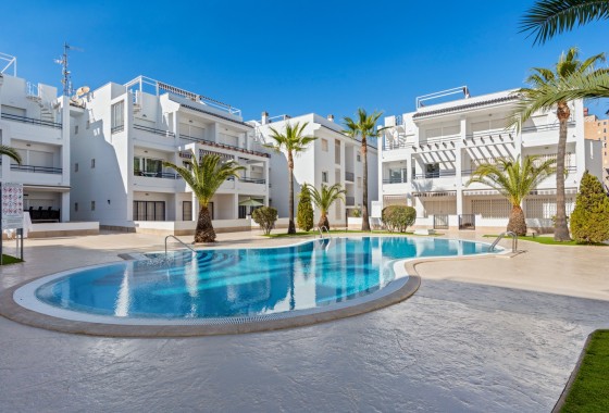 Wohnung / Apartment - Wiederverkauf - Torrevieja -
                Torrevieja