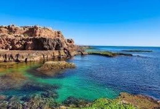 Wohnung / Apartment - Wiederverkauf - Torrevieja - Torrevieja