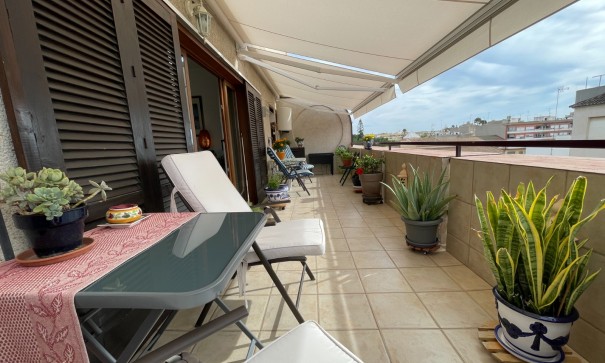 Wohnung Appartement - Resale - Almoradí - centro
