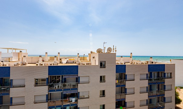 Wohnung Appartement - Resale - Torrevieja - Beach