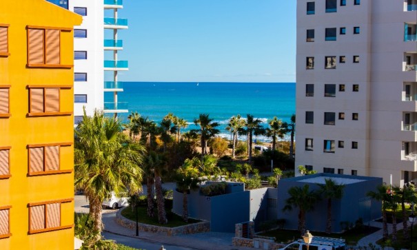 Wohnung Appartement - Short time rental - Punta Prima - La Recoleta