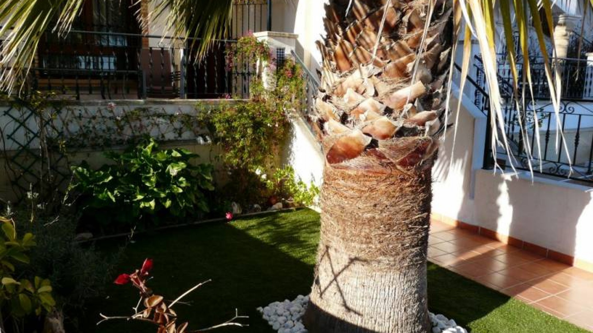 Wynajem długoterminowy - Apartament mieszkanie -
Orihuela Costa - Villamartín