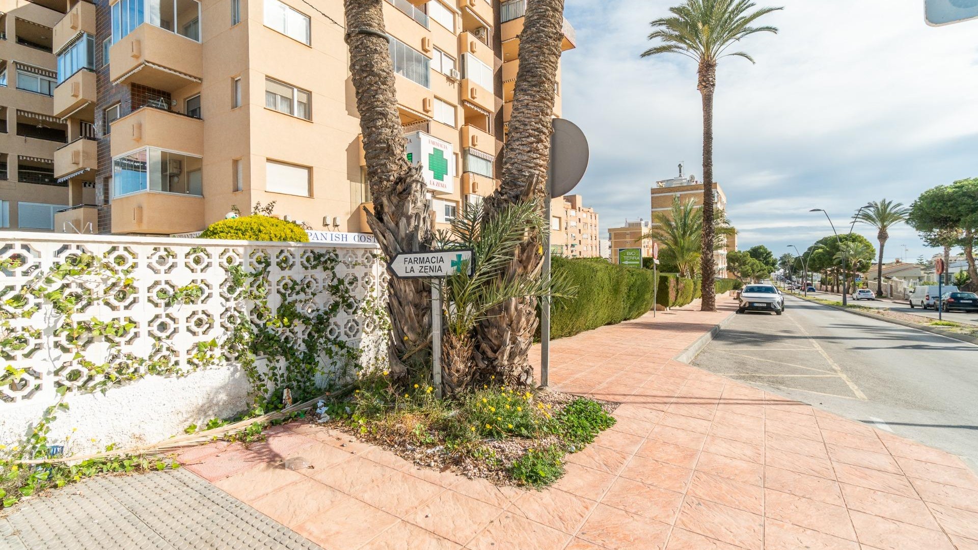 Wynajem długoterminowy - Reklama w telewizji -
Orihuela Costa - La Zenia