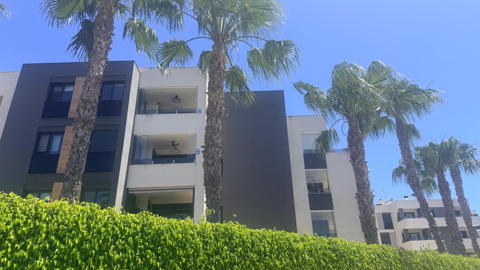 Apartment in Los Balcones - Image 2