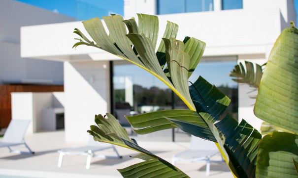 New Build - Freistehende Villa -
Los Montesinos - La herrada