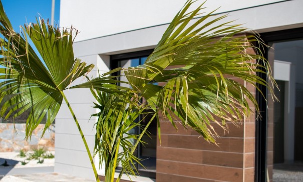 New Build - Freistehende Villa -
Los Montesinos - La herrada