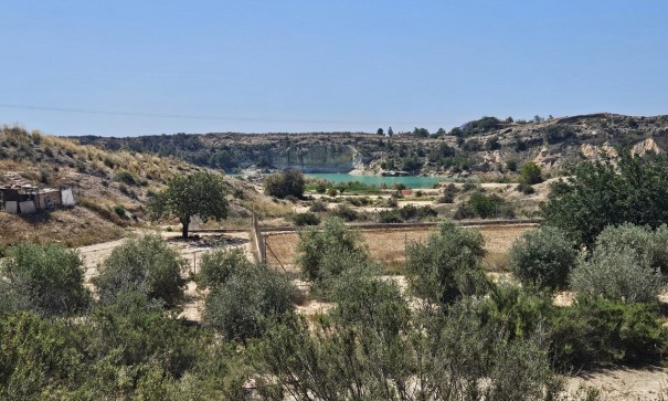 Resale - Finca Landgut -
Crevillente