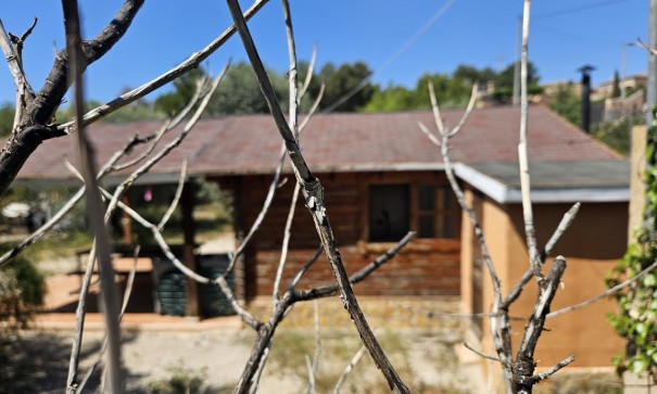 Resale - Finca Landgut -
Crevillente