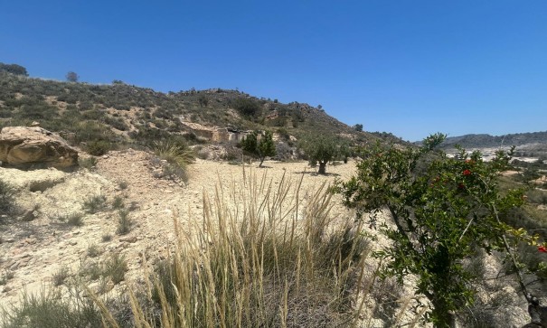 Sale - Finca Country Property -
Abanilla - ABANILLA