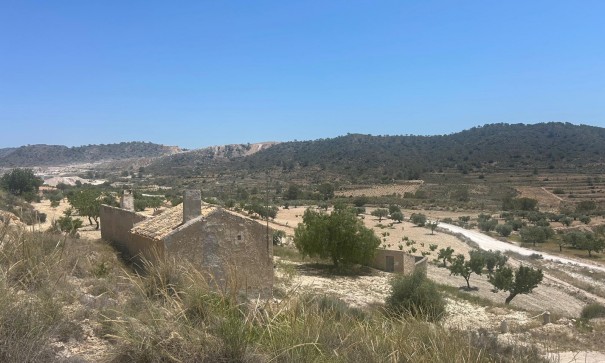 Sale - Finca Country Property -
Abanilla - ABANILLA