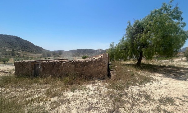 Sale - Finca Country Property -
Abanilla - ABANILLA
