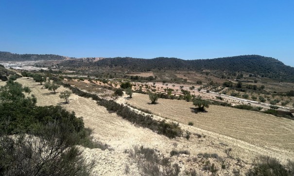 Sale - Finca Country Property -
Abanilla - ABANILLA