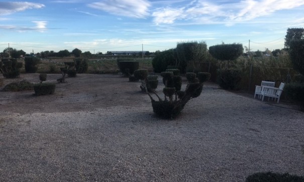 Resale - Finca Landgut -
Dolores