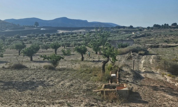 Sprzedaż - Działka Grunt -
SAX