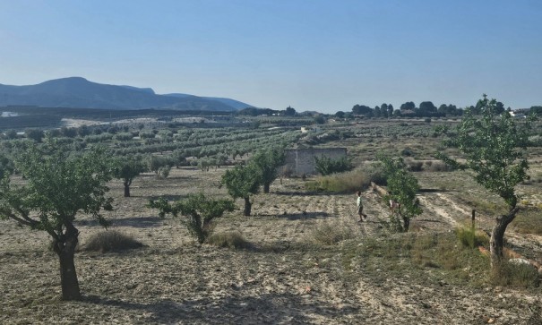 Sprzedaż - Działka Grunt -
SAX