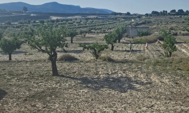 Sprzedaż - Działka Grunt -
SAX